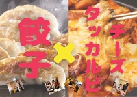 【美味しさMAX✨餃子🥟×チーズタッカルビ🍖🫕】