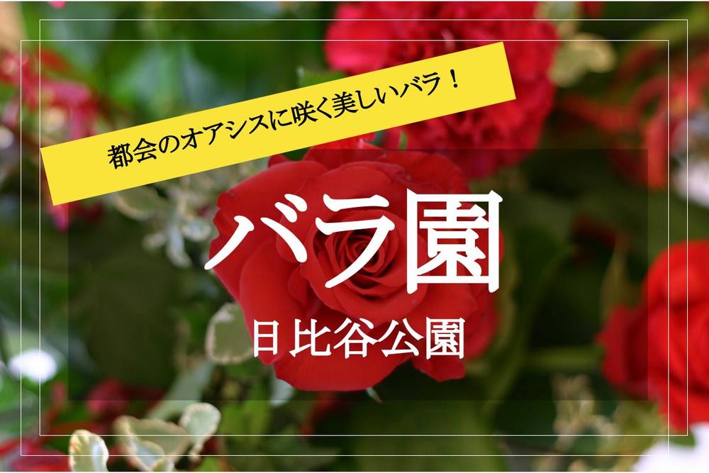 【薔薇ウォーク✕日比谷公園】都会のオアシス！日比谷公園に咲くバラを見に行こう♡