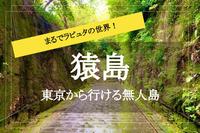 【まるでラピュタの世界…！！】無人島・猿島に出かけよう！