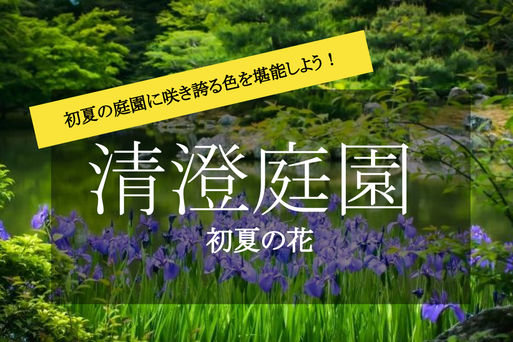 【初夏の花×清澄庭園】緑溢れる初夏の庭園！鮮やかに咲く花を見にでかけよう！