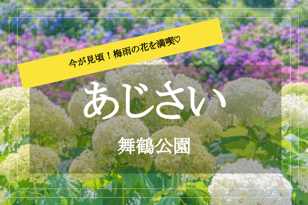 【あじさい園✕舞鶴公園】石垣沿いに咲く美しいあじさい！ 梅雨ならではの景色を楽しもう♡
