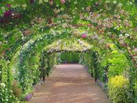 横浜イングリッシュガーデン撮影会【残り1名女性募集】