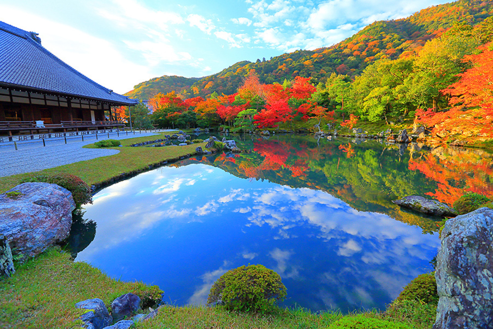 【京都歴史巡り】そうだ 天龍寺、行こう。