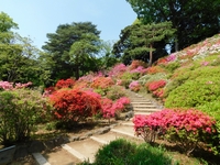 【カメライベント】六義園と東洋文庫ミュージアムで、ゆるーくフォトウォーク