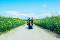 菜の花畑撮影会@安平町にいこう🌼