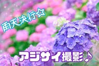 　雨天決行♪【アジサイ撮影☆】スマホ参加もOK