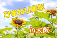 　夏×カメラ♪【ひまわり撮影🌻】スマホ参加もOK