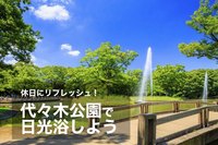 【代々木公園×夕散歩】緑に包まれ、リフレッシュする休日を過ごそう！