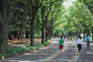 【葛西臨海公園ランニング】みんなでゆったり走ろう！