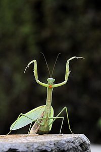 テスト。。。。。。。。。。。。。。。。。