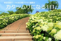 東京写真サークル。お台場あじさい撮影会