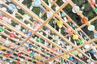 風鈴×神社！夏を感じに風鈴を見に行こう