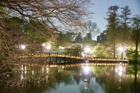 【吉祥寺✖︎ジョギング】  初心者歓迎ゆったり井の頭公園ラン！