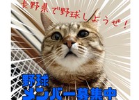 【長野×初心者野球】上手くできなくても野球やりたいって方！