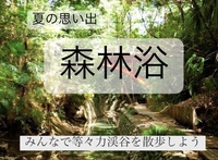 【森林浴in等々力渓谷】20代30代限定！お話ししたり写真を撮ったり、みんなで散歩して夏の思い出をつくろう！