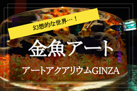【アートアクアリウム美術館 GINZAに行こう！】優美に舞う艶やかな金魚！銀座の涼を感じる新スポットに行こう！
