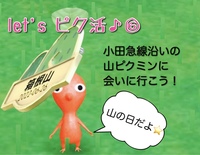 【8月11日】 Let‘sピク活⑥　小田急線沿いの山ピクミンに会いに行こう♪
