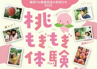 7/16(土曜)【名古屋～小牧】季節毎開催!夏は愛知県内で珍しい桃狩りをもぎもぎに♪★リッチにピーチで★【ネクステde桃狩り会】