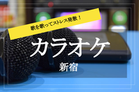 【カラオケ×新宿】歌を歌ってストレス発散！ みんなで楽しくカラオケしよう〜！