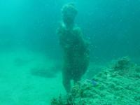 7月11日(月) 真鶴　　　　　　　　　　