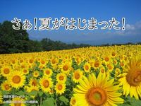 山梨県北杜市明野ひまわり畑撮影会
