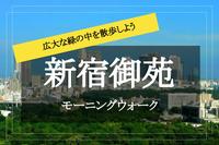 【新宿御苑モーニングウォーク】朝のすがすがしい時間に緑の中を歩こう〜♡