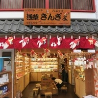 夏を満喫🌞🌴🌺✨浅草で金魚すくいをしよう