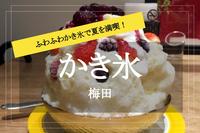 【梅田×かき氷】ふわふわ新食感！のかき氷を食べにでかけよう！