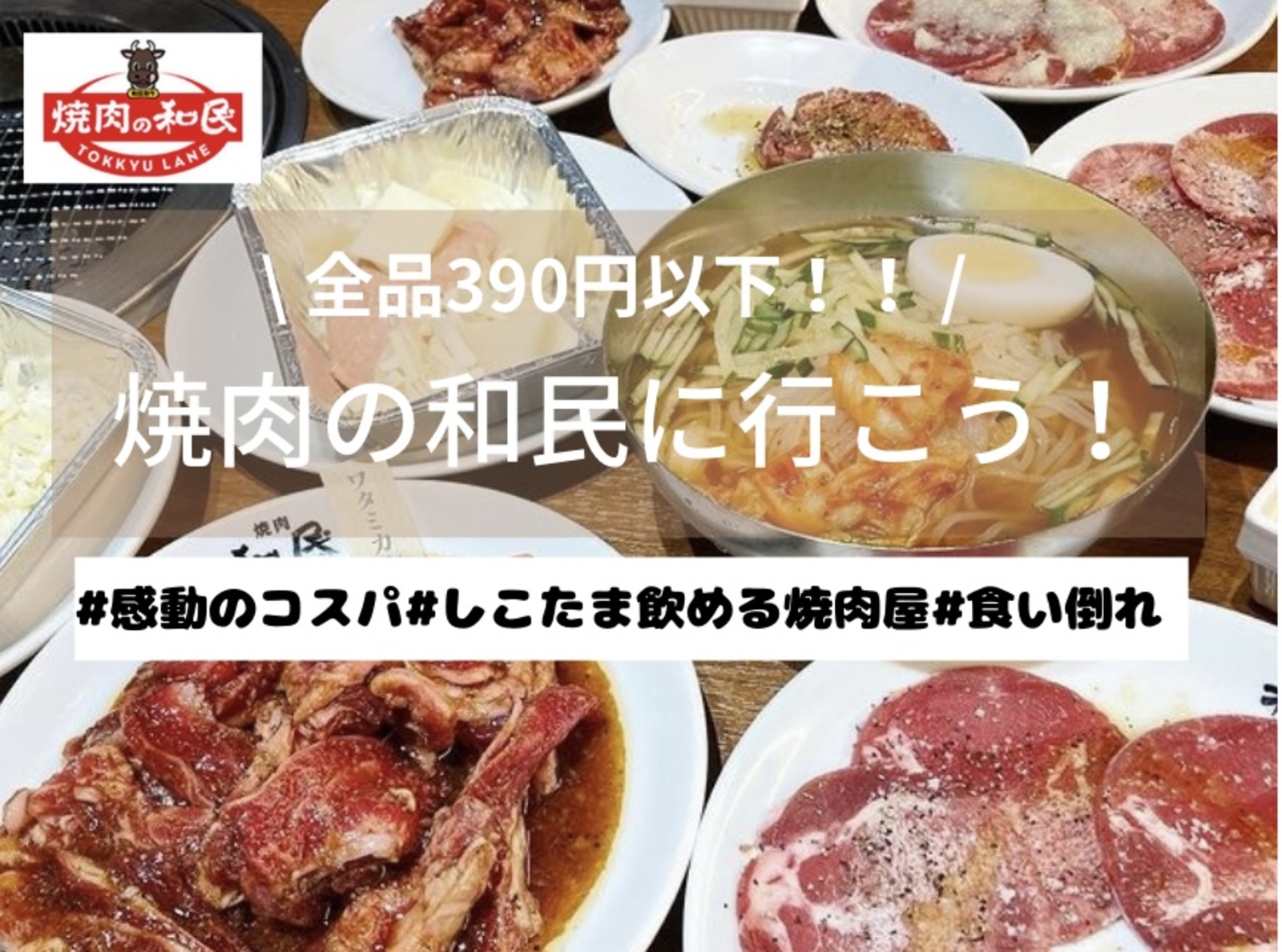 【コスパ抜群❣️】焼肉の和民に行こう🥓✨✨