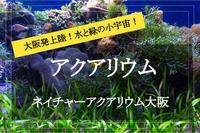 【大阪×ネイチャーアクアリウム】暑い夏には涼しげな「生きたアート展」を見に行こう！