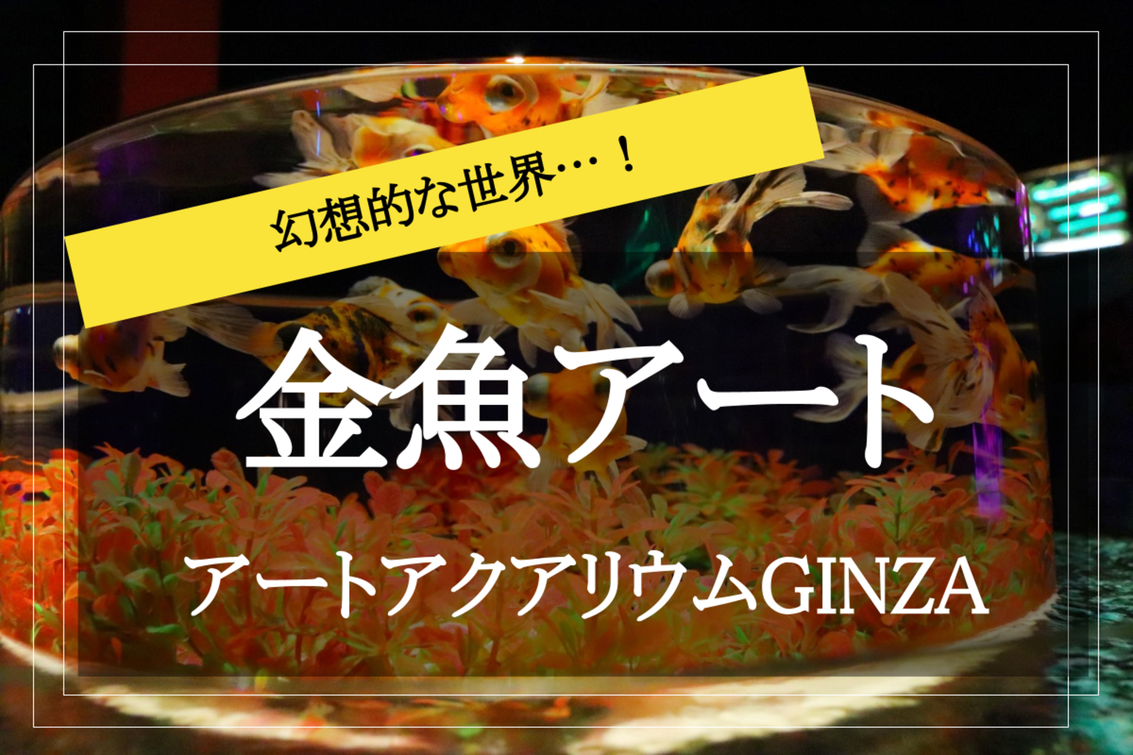 【アートアクアリウム美術館 GINZAに行こう！】優美に舞う艶やかな金魚！銀座の涼を感じる新スポットに行こう！