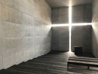 安藤忠雄を語るカフェ会☕コンクリート打ち放しの世界！