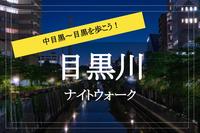 【目黒川×ナイトウォーク】雰囲気抜群！中目黒駅～目黒駅を歩こう！