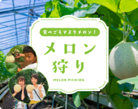 8/20 (土曜)【名古屋～伊良湖】季節毎開催!夏は愛知県内で定番メロン狩り+スイカも♪★伊良湖で大あさりも★【ネクステdeメロン狩り会】