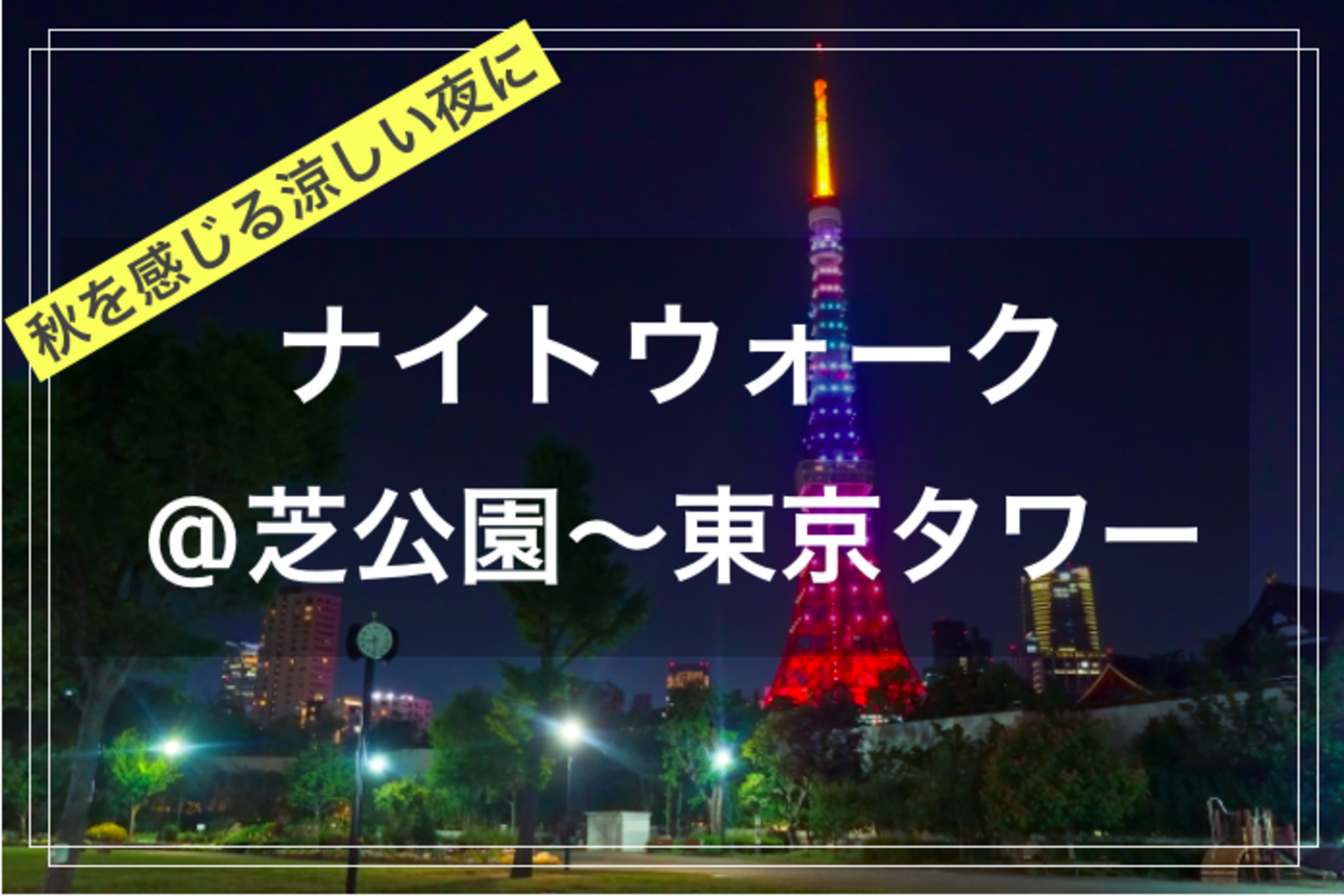 【季節を楽しむひととき@東京映えスポット✨🌃】@東京タワーナイトウォーク（芝公園〜東京タワー）