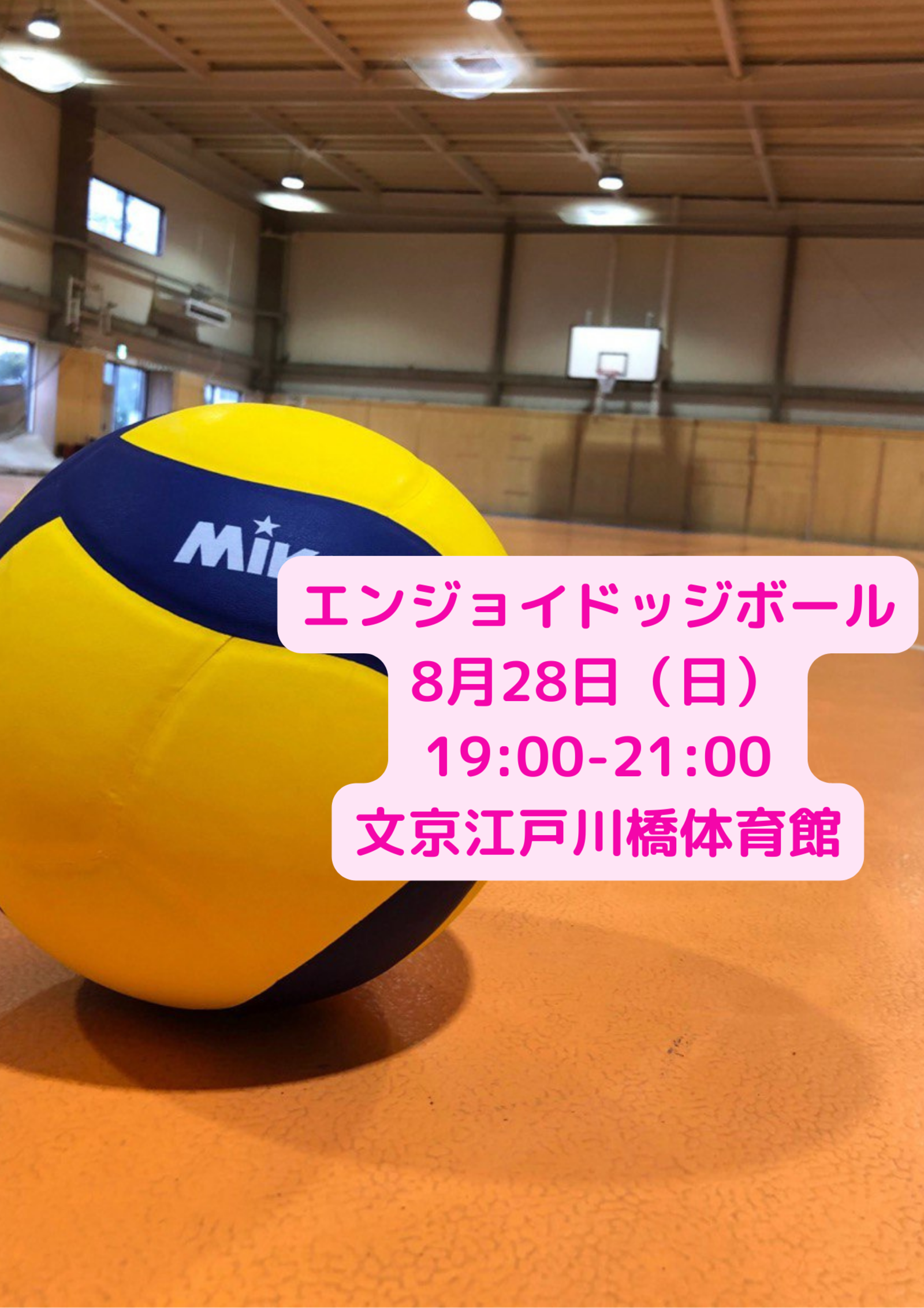 当日参加オッケー🙆‍♀️✨1人参加･初心者•ブランク者大多数❣️エンジョイ平成生まれ限定🏐