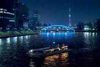 ナイトクルーズ 「２大タワー周遊、レインボーブリッジ便」に乗ろう！(東京) ※参加費は乗船チケット付きの値段です！乗船券チケットはこちらで用意します！！