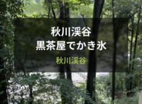 【40代以上がメイン】秋川渓谷の黒茶屋でかき氷を食べてせせらぎで癒されましょう