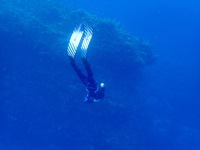 8月27日(土) 伊豆大島　　　　　　　　　　