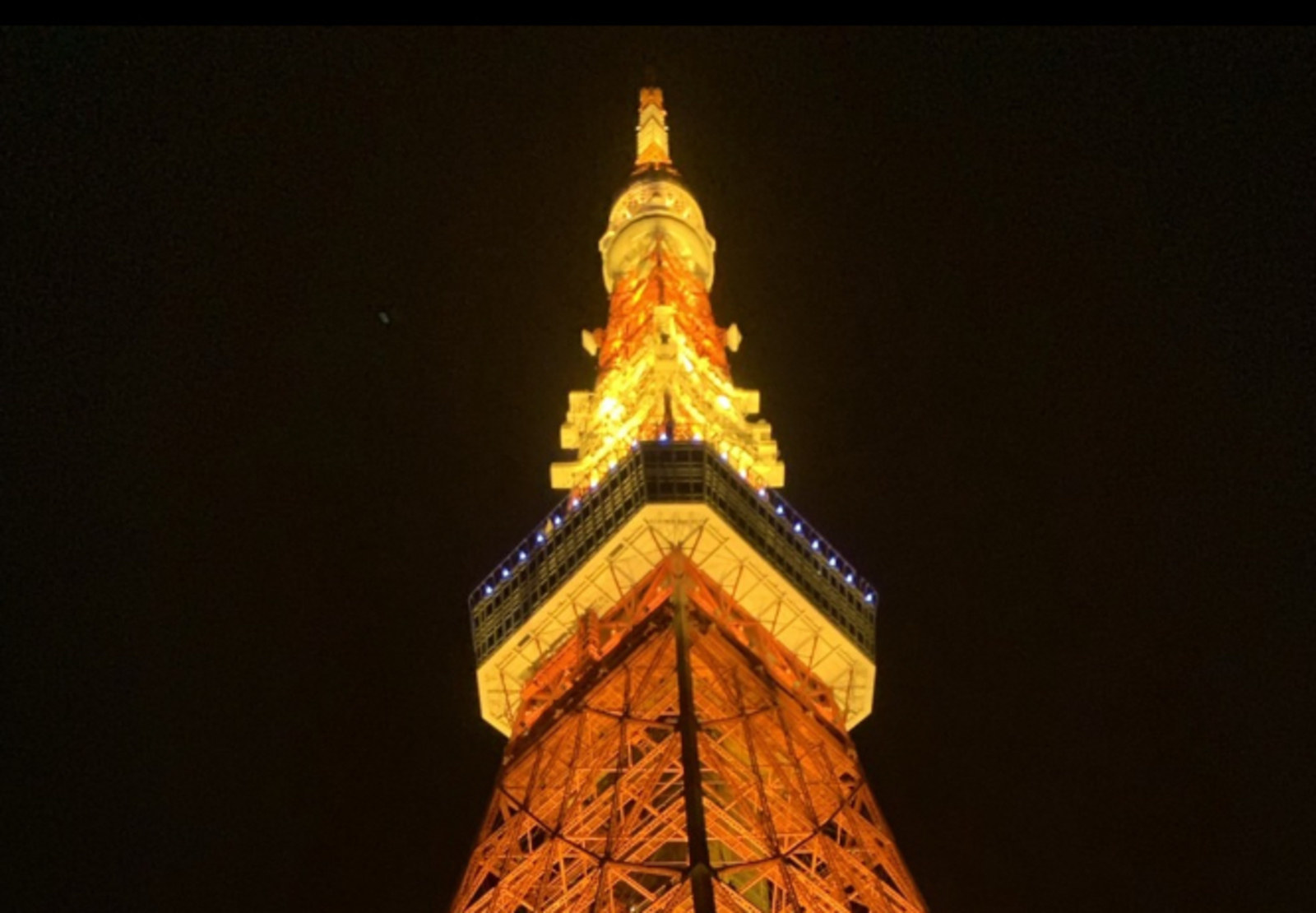 【20代前半主催】もうすぐ終わる!?東京タワーに期間限定のイルミネーションを見に行こう😆