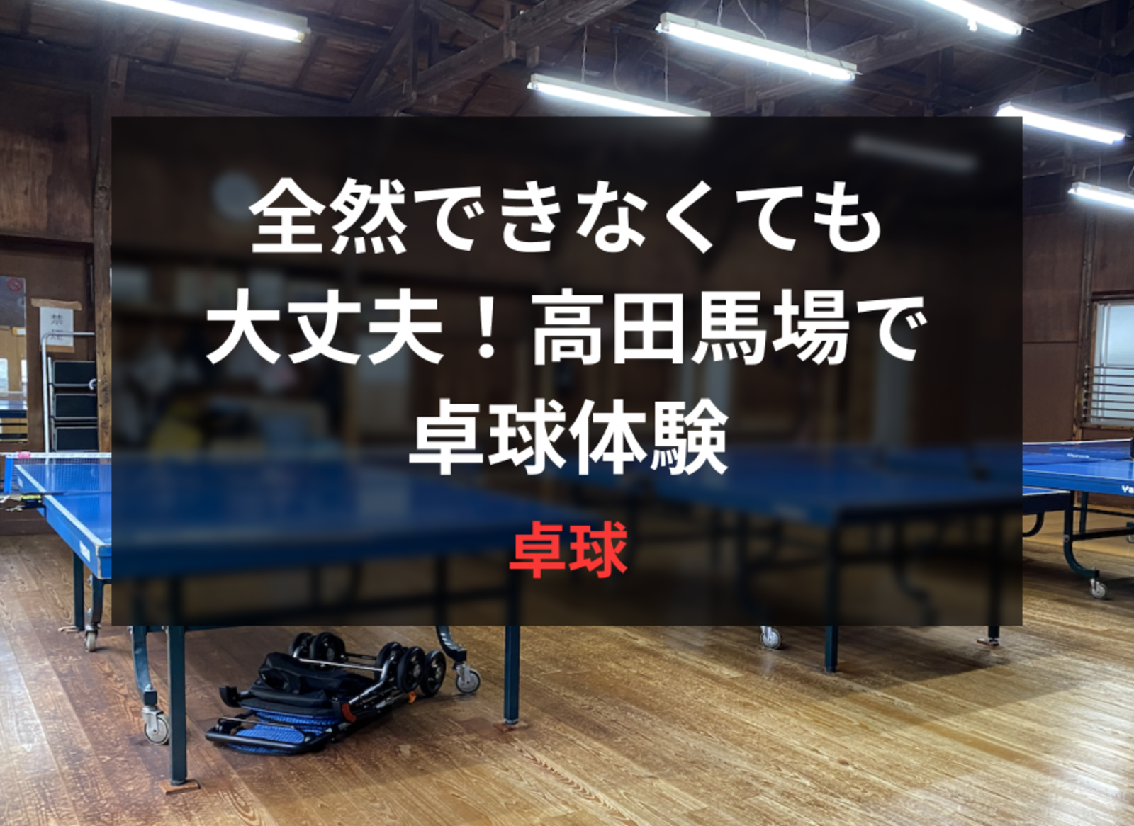 【40代以上がメイン】全然できなくても楽しめればOK！高田馬場で卓球体験
