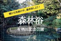 【有栖川記念公園で森林浴！】広尾駅から3分の有栖川記念公園でリラックスしにでかけよう！
