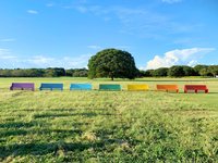 【おひとり様歓迎】昭和記念公園でのんびり過ごそう