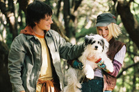 ☆11月12日 in 東中野☆ハンカチ必須の感動作!映画交流会『テラビシアにかける橋』