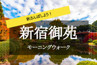 【新宿御苑モーニングウォーク】秋本番！朝のすがすがしい時間に色付いた木々の中を歩いてリフレッシュしよう！