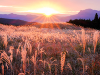 残席2名!!【11月5日(土)】曽爾高原で金色の夕焼けを見ようよ（＝゜∀゜）