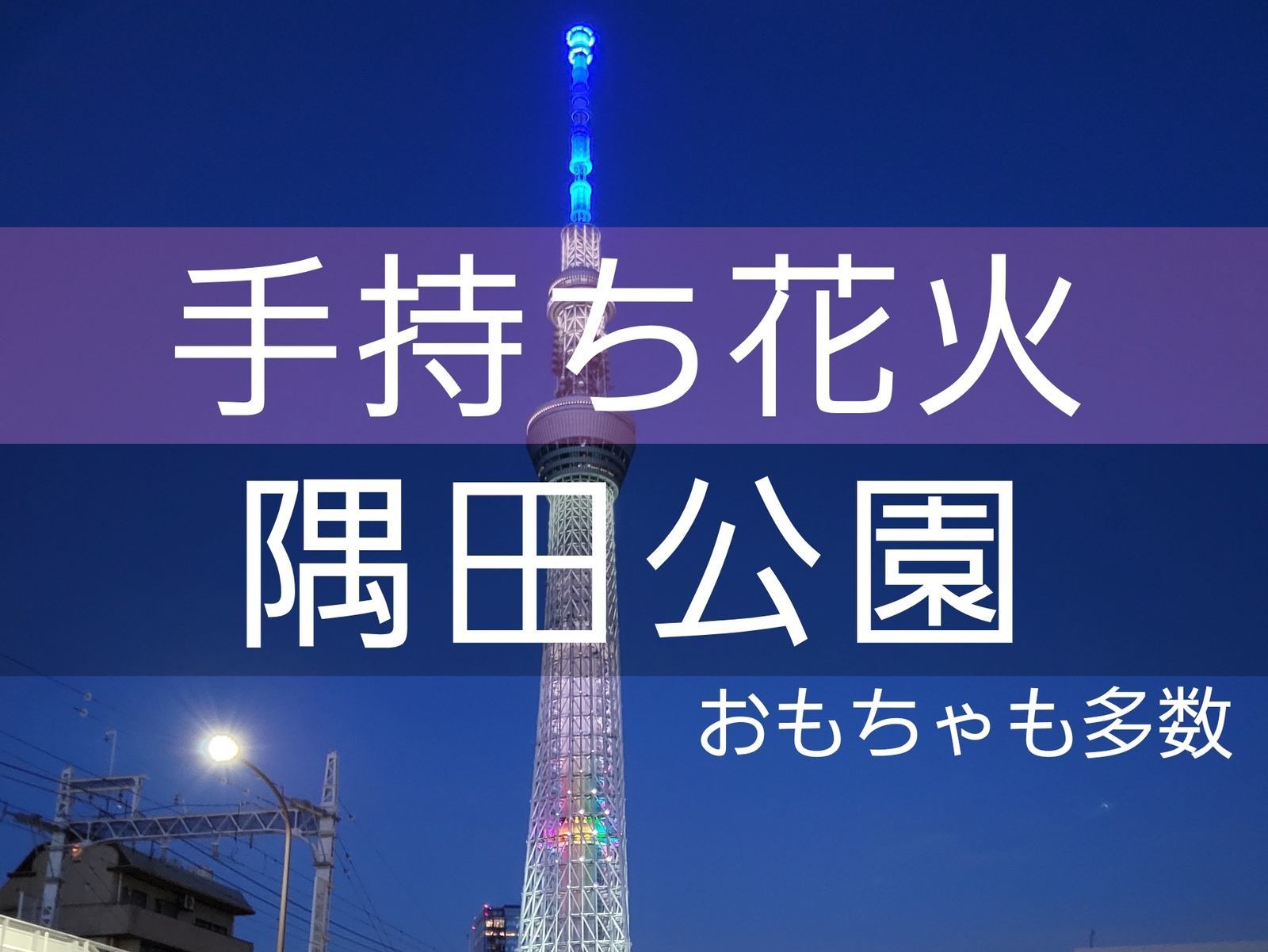 【20-30代前半限定】隅田公園で手持ち花火！同世代で花火を堪能しませんか？