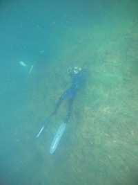 9月14日(水) ヒリゾ等南伊豆　　　　　　　　　　　　