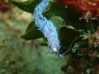 9月15日(木) 南伊豆方面　　　　　　　　　　　　　