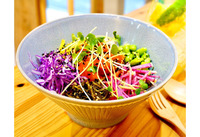 【下町ランチ会】蔵前だけどPoke bowlを食べてロコな気分になっちゃおう！！